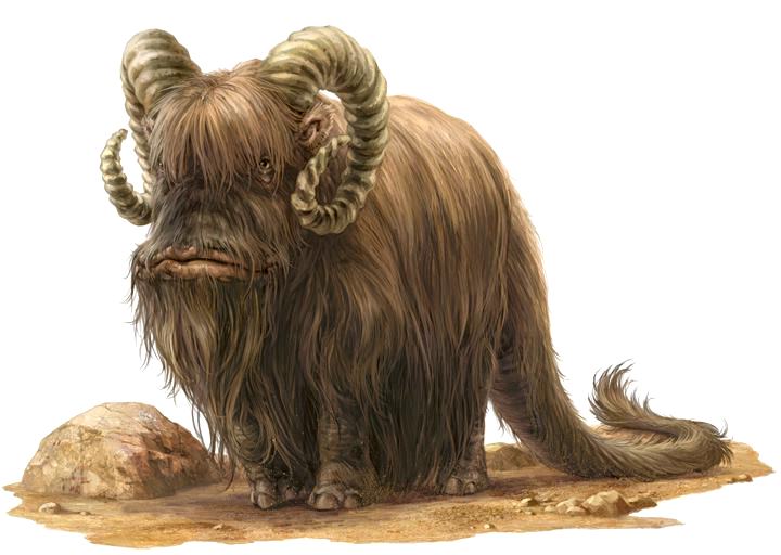 Plik:Bantha NEGAS.jpg