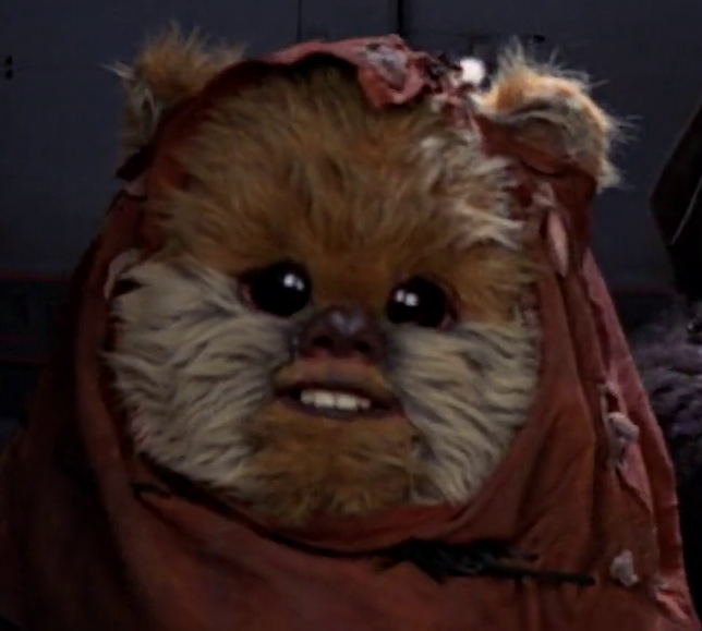 Plik:Widdle.png