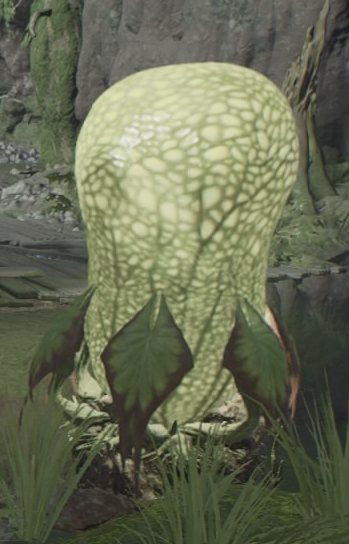 Plik:Plucnica.png