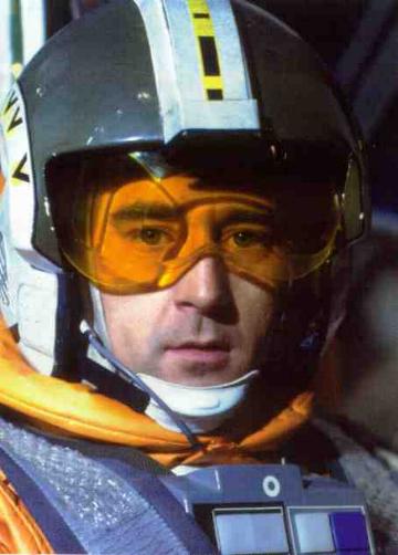 Plik:Wedgeantilles.jpg