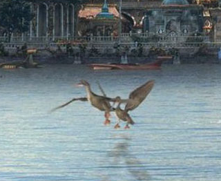 Plik:Duck.jpg