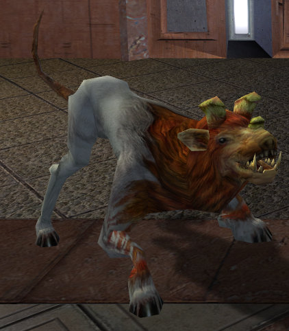 Plik:OgarKath.jpg