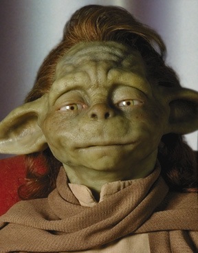 Plik:Yaddle.jpg