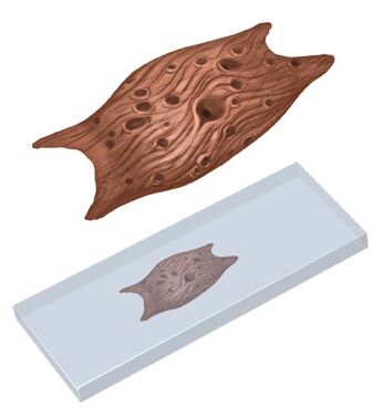 Plik:Inhibitor-Chip.jpg