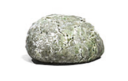 Plik:Poliskrobia.png