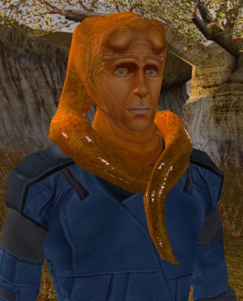 Plik:Bolook.jpg