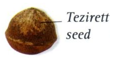 Plik:Tezirett.png