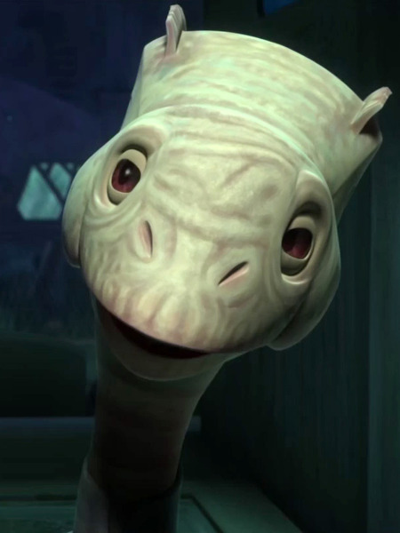 Plik:Casiss.jpg