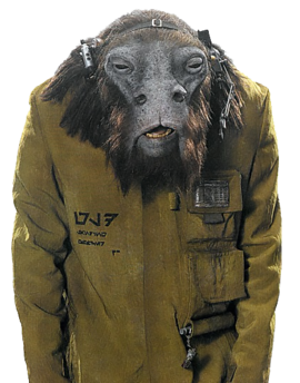 Plik:Vober Dand.png