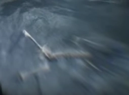 Plik:Ostar.png