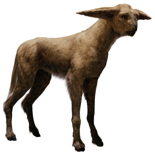 Plik:Fathiers.png