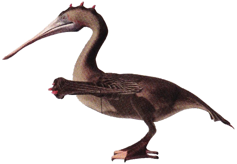 Plik:Pelikki.jpg