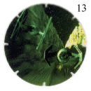 Plik:Tazos13.gif