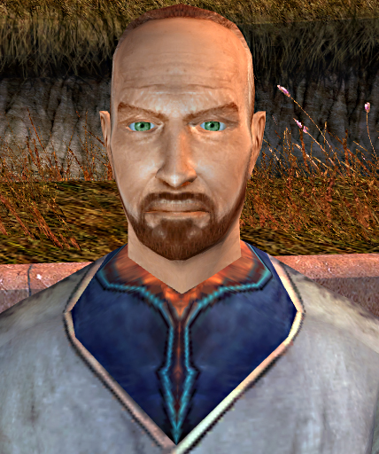 Plik:Gar.jpg
