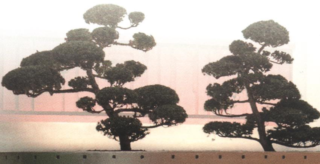 Plik:Chinar.png