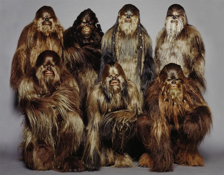 Plik:Wookie.jpg