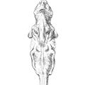 Miniatura wersji z 16:16, 7 kwi 2008