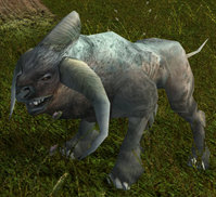 Rogaty Ogar kath albinos