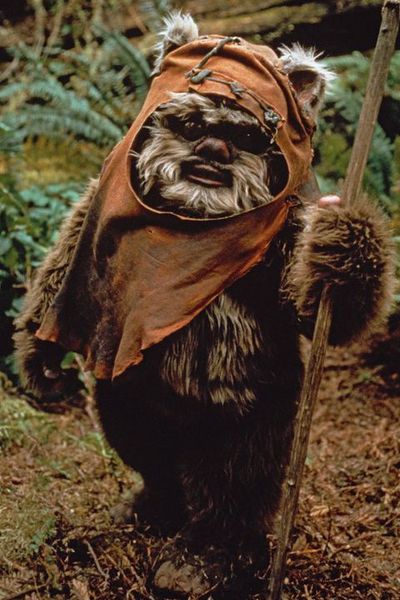 Plik:Wicket.jpg