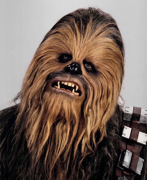 Plik:Chewbacca.jpg