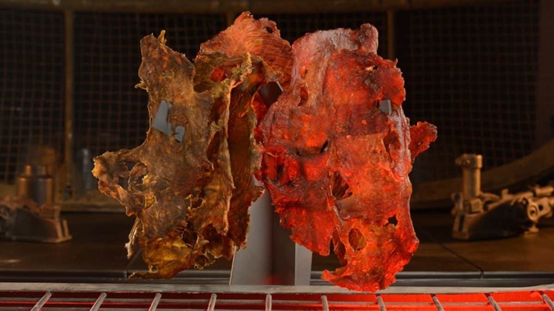 Plik:Nuna Turkey Jerky.jpg