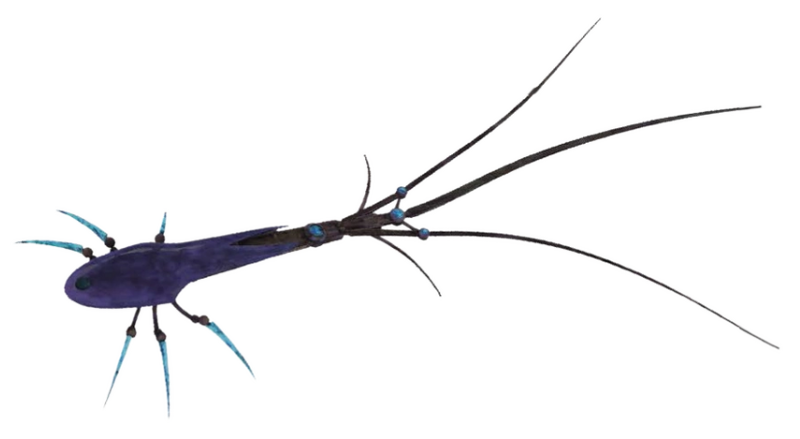 Plik:Scutiger-100.png