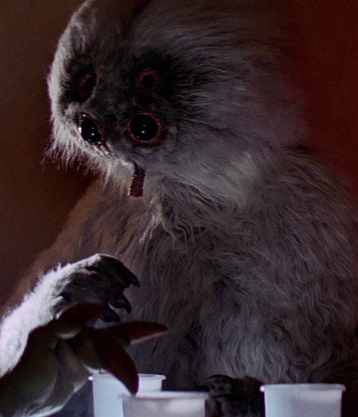 Plik:Muftak.jpg