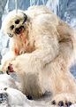 Nowe ujęcie wampy.