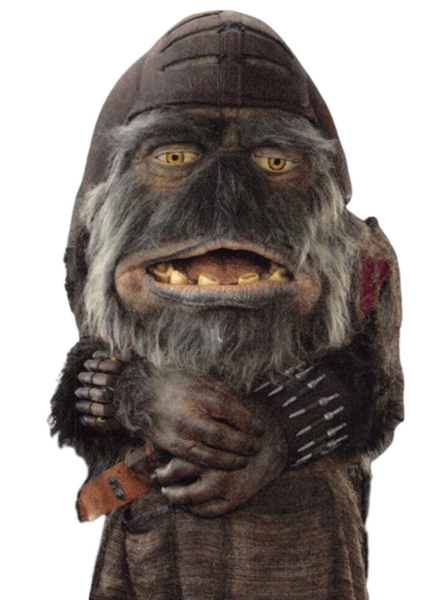Plik:Borrim Shub.png