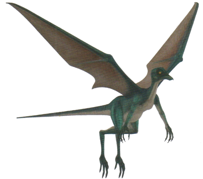 Plik:Bogwing.png