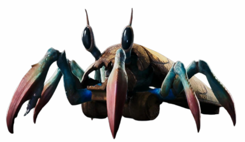 Plik:Blotny krab.png