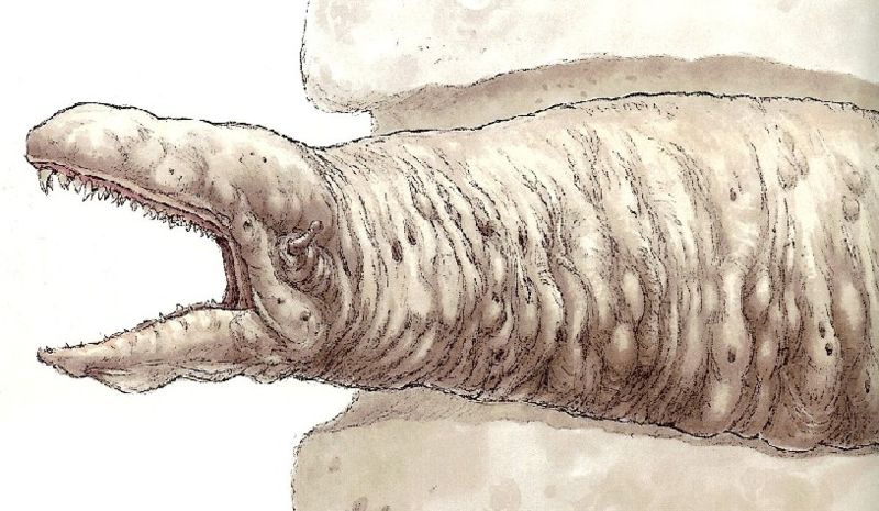 Plik:SpaceSlug.jpg