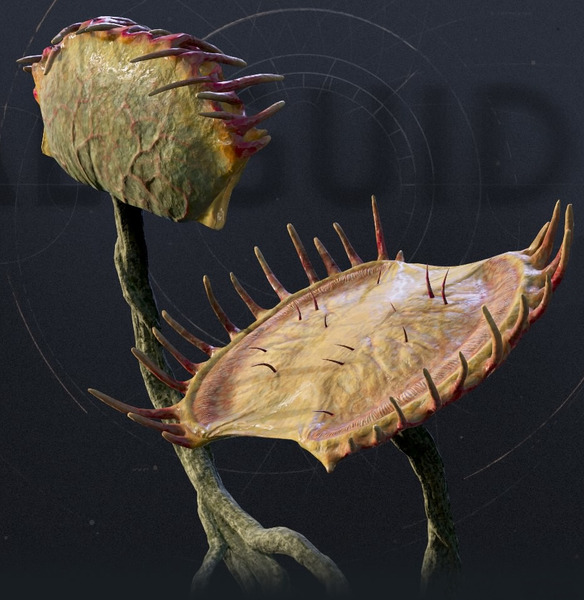 Plik:Jaw Plant.jpg