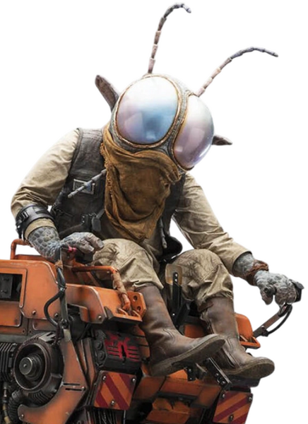 Plik:Vazzet Dipterz.png