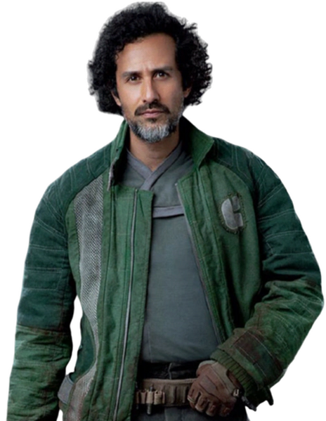Plik:Salman Paak.png