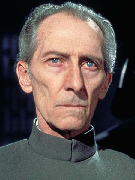 Plik:Tarkin- foto glowna.jpg