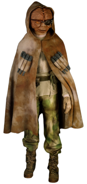 Plik:Orrimaarko-SWCOT.png