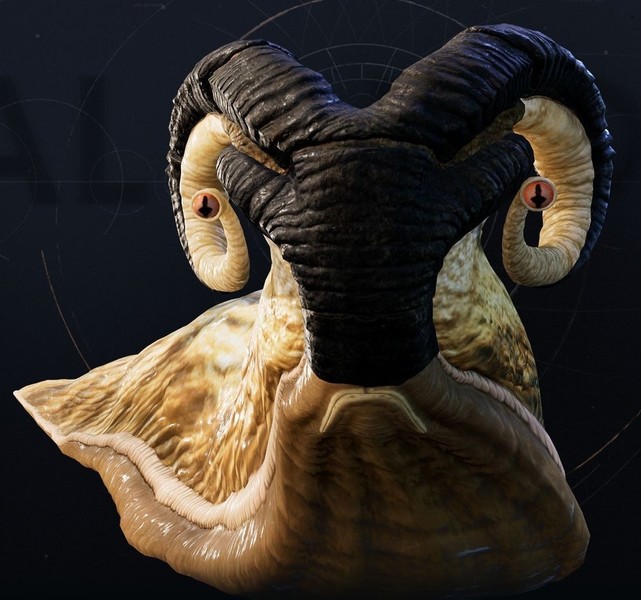 Plik:Slyyyg.jpg