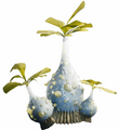 Miniatura wersji z 23:39, 21 maj 2025
