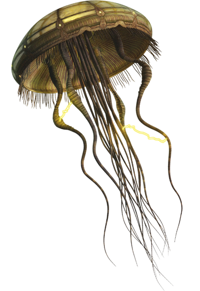 Plik:Hydroidomeduza.png