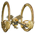 Miniatura wersji z 11:03, 11 lis 2008