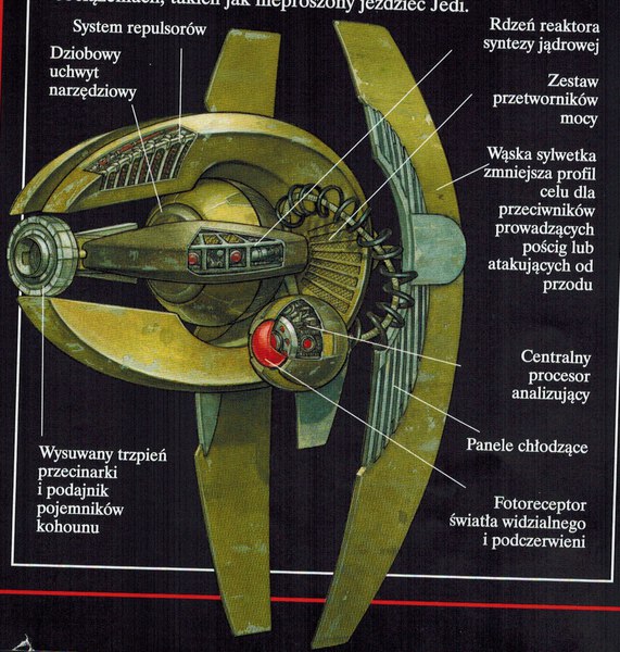 Plik:ASNprzekroj.jpg
