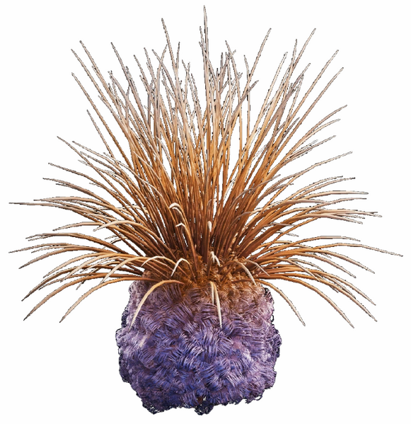 Plik:Grzbietofluf.png