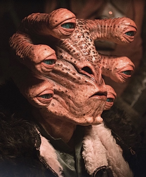 Plik:Argus Panox.jpg