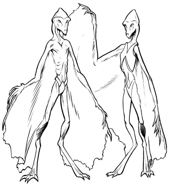 Plik:Vorsy (AMH2).jpg