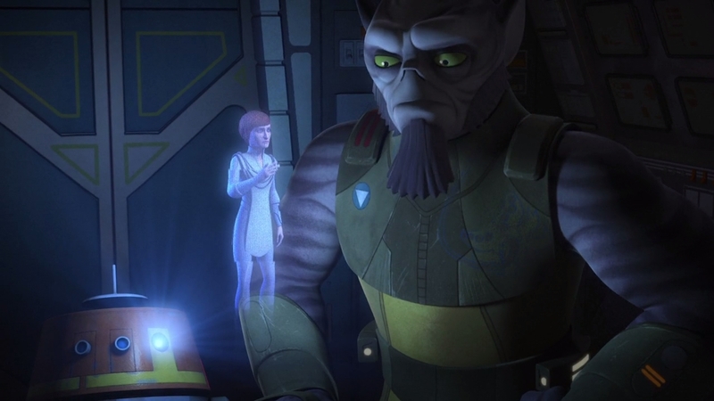 Plik:Zeb oglada Mothme.jpg