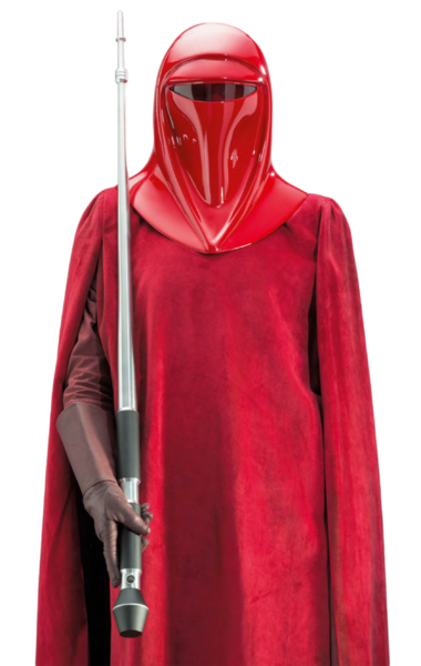 Plik:Royal Guard plec piekna.png